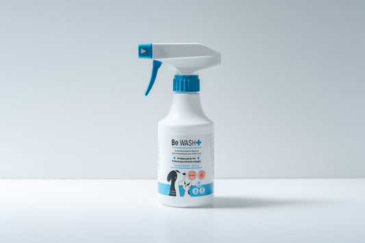 Be-Wash Dry Shampoo